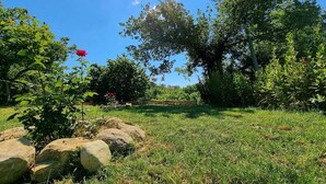 A garden with a large tree, a red flower, and a wooden fence. - Vacation House The Laurels (Venarotta)