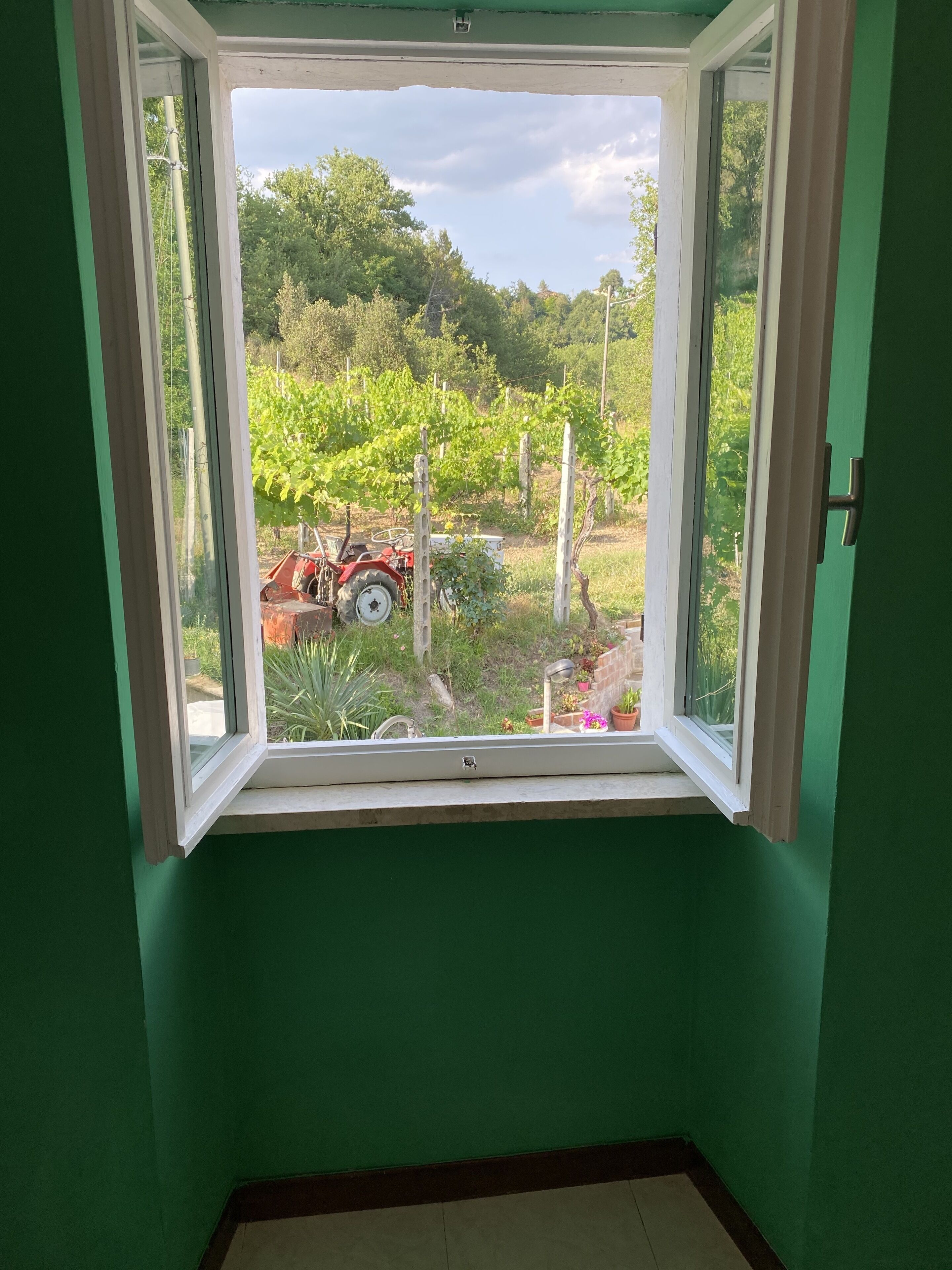 A room with a window overlooking a vineyard and a red tractor.