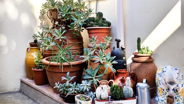 A variety of potted plants and gardening tools on a balcony. - THE HOME OF JASMINE AND MEDLAR, TO MAKE YOU FEEL AT HOME. (Firenze)