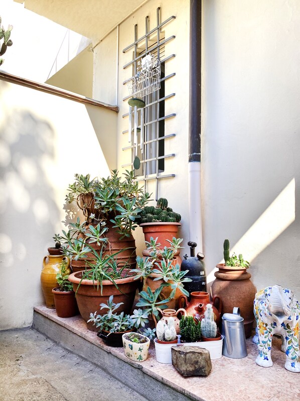 Exterior detail - THE HOME OF JASMINE AND MEDLAR, TO MAKE YOU FEEL AT HOME. (Firenze)