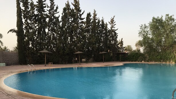 Una piscina con bordes de azulejos, rodeada de árboles y un muro de ladrillo.