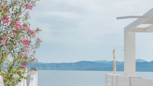 Property grounds - Greco Mare (Corfu)