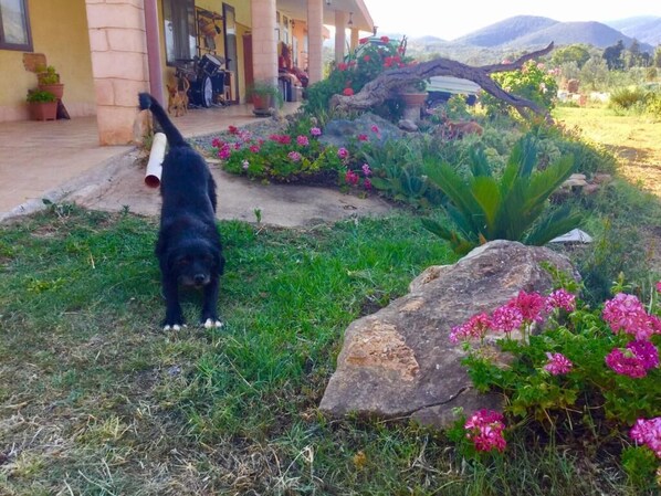 Terrein van de accommodatie