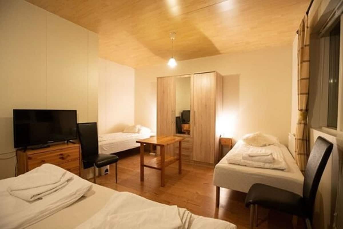 Triple Room | Desk, soundproofing, iron/ironing board, free WiFi
