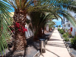 Property grounds - Fresh Apartment "LIFE", Total Relax in Fuerteventura (Costa de Antigua)