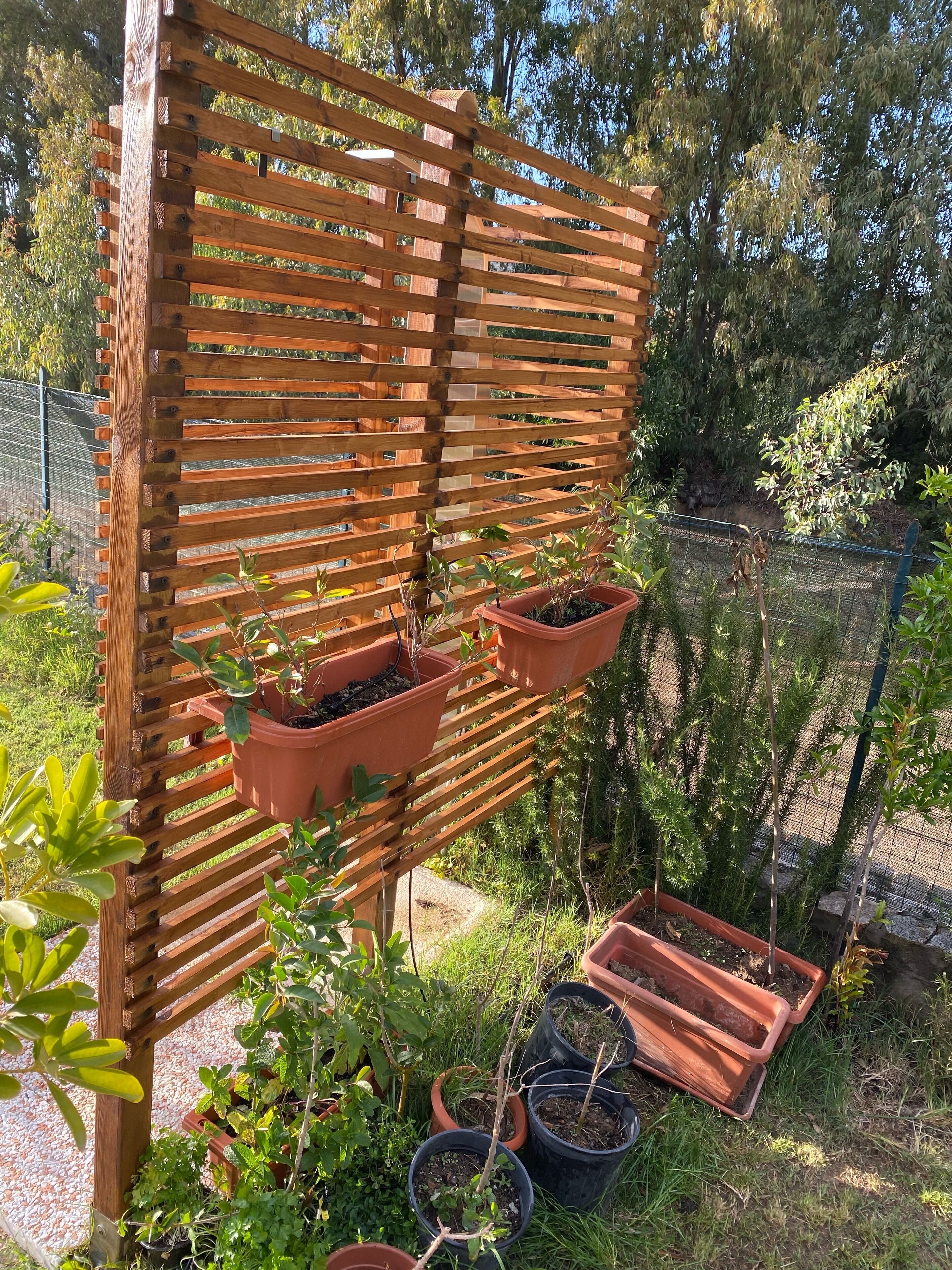 Enceinte de l’hébergement