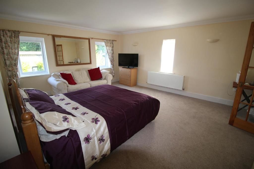 高級雙人房, 1 張特大雙人床, 浴缸 | 書桌、隔音、熨斗/熨衣板、免費無線上網