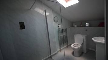 A bathroom with a skylight, a toilet, a sink, and a glass shower enclosure.