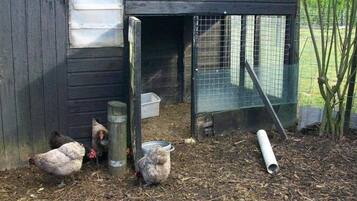 Un gallinero rústico de madera con una puerta de malla de alambre, rodeado por un área cercada con árboles y un campo de pasto al fondo.