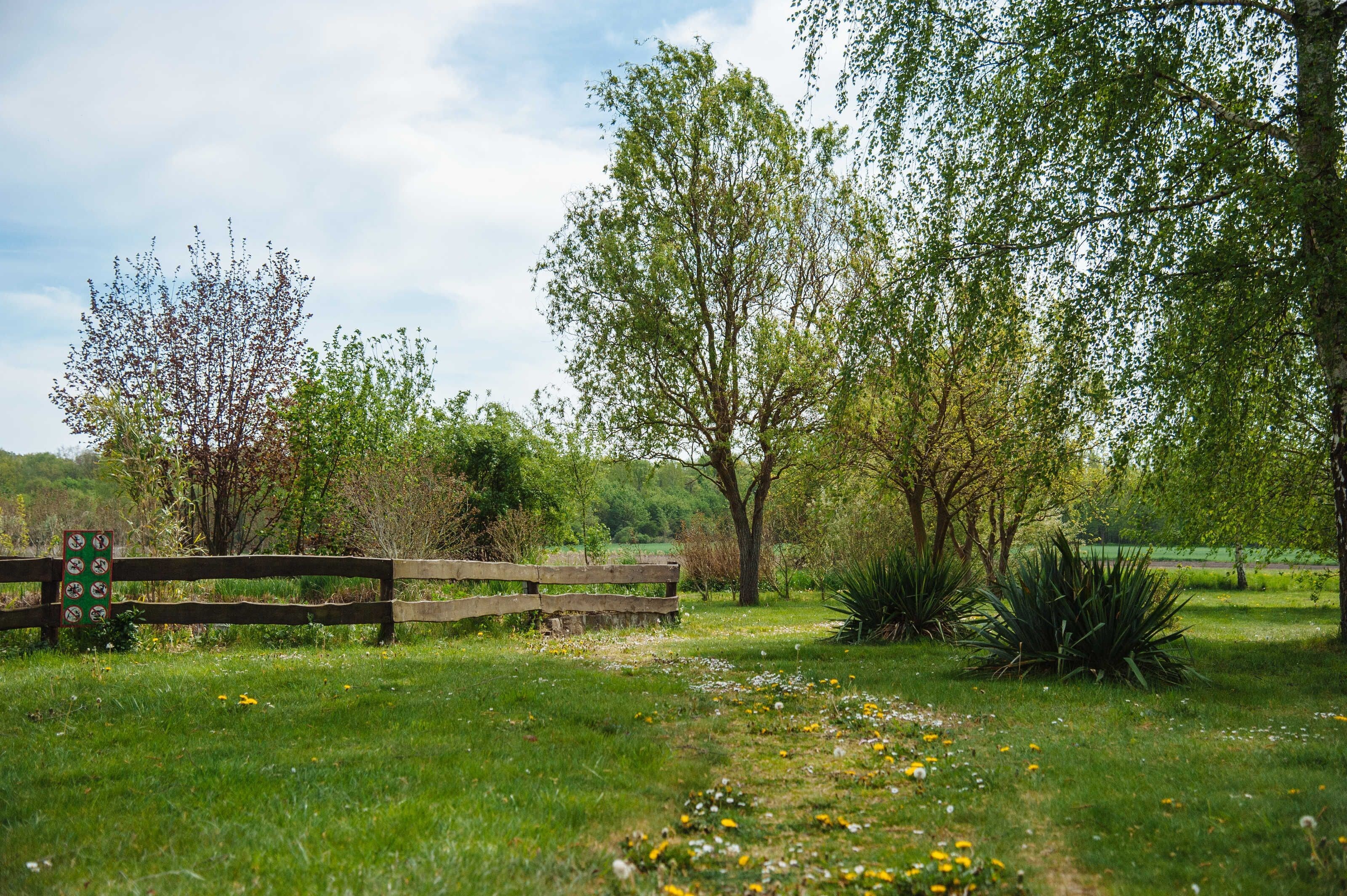 Un campo cubierto de hierba con una cerca de madera, árboles y un banco.