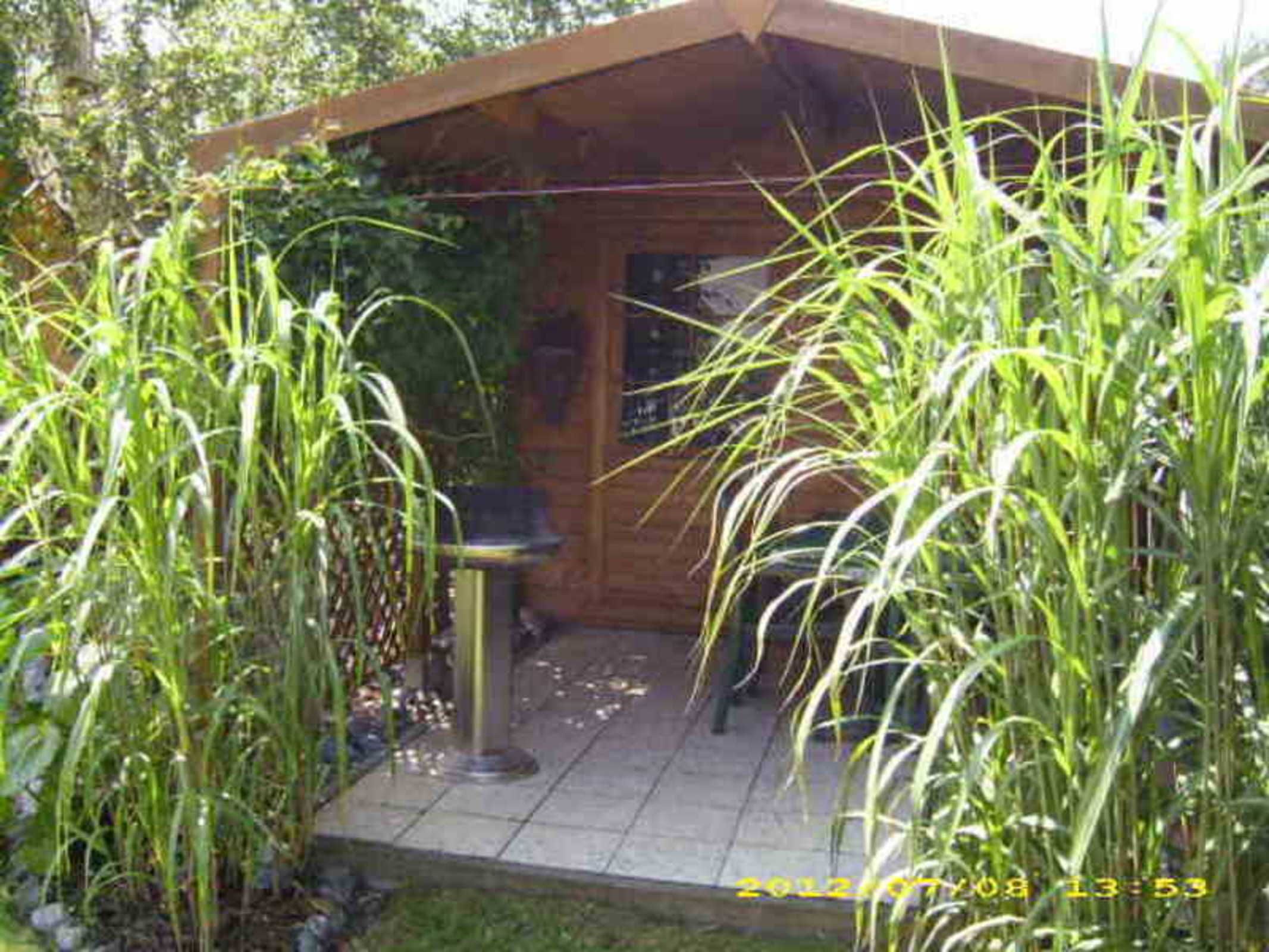 Eine Holzhütte mit einer gefliesten Terrasse, umgeben von hohem Gras.