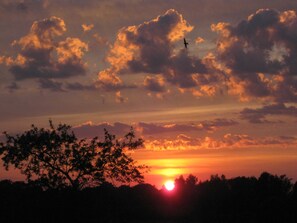 Immagine non classificata, 3 di 21, pulsante