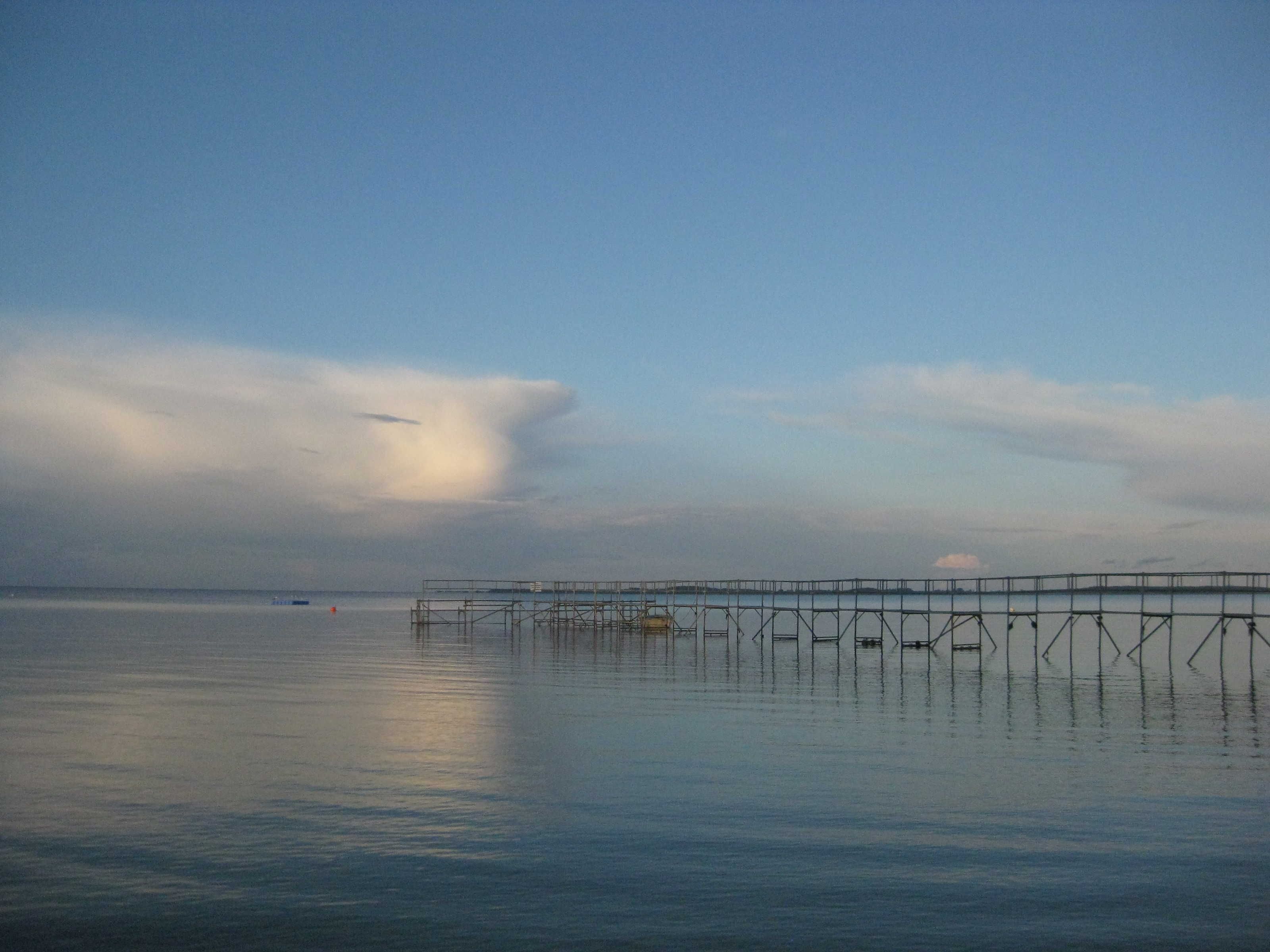 Una orilla tranquila con un muelle que se adentra en el agua.