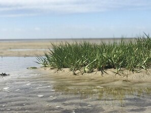 In Strandnähe