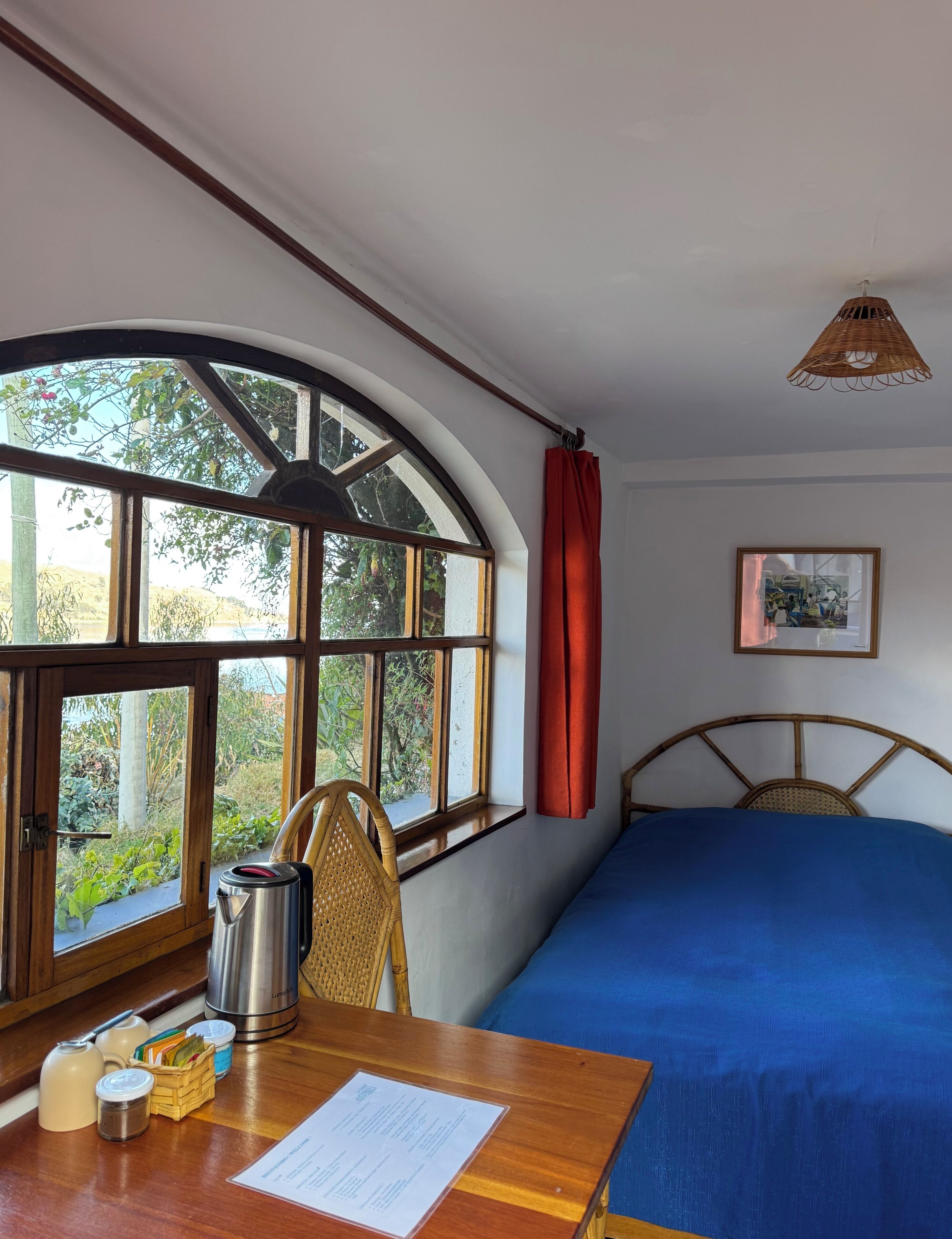 A room with a bed, a table with a kettle, cups, and a menu, a window with a view of greenery, and a framed picture on the wall.