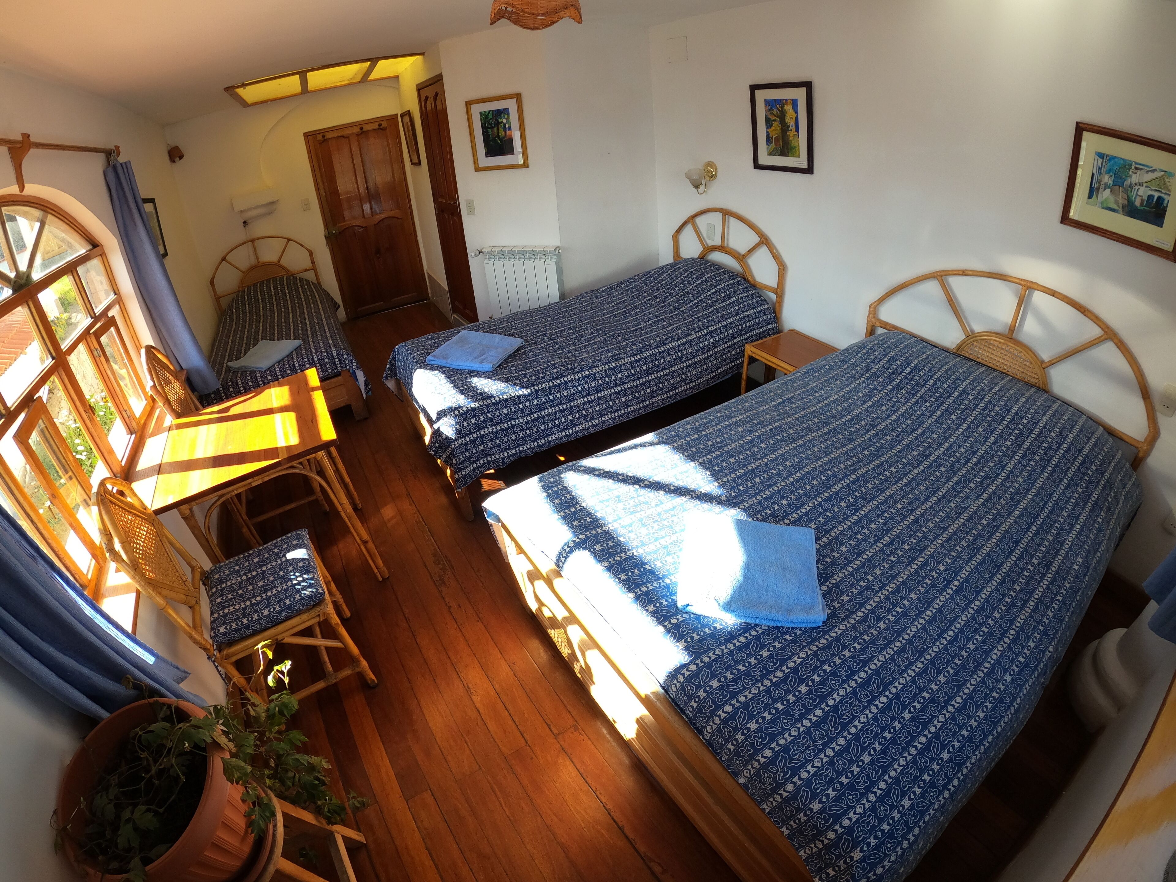 A room with two single beds, a wooden table, a chair, and a potted plant.