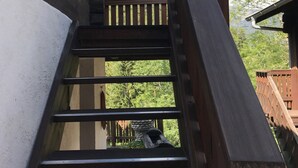 Un escalier en bois mène à une terrasse dotée d’une rambarde, le tout étant entouré de verdure et surplombé par un ciel dégagé.
