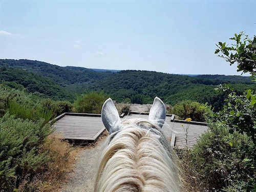 Mobile home at the Equestrian Center