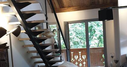A beautiful chalet quiet 2 steps from shops and close to the slopes
