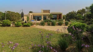 Una casa moderna con tetto piatto, ampie finestre e un giardino con fiori viola e arbusti.