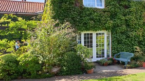 A house with a garden, a blue bench, and a white door. - The Summer Room (Norwich)