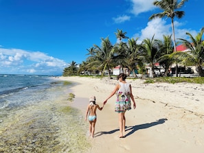 A beach with clear water, palm trees, and houses in the background. - LM Crystal Beach Sea View & Direct Beach Access 💯 air-conditioned (SAINT-FRANCOIS)