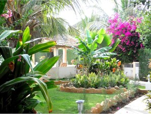 Jardines del alojamiento