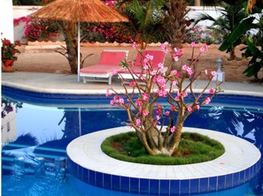 Pool - ---- Villa Baobab ---- (m bour)