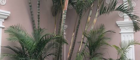 A building with a pink facade, white decorative trim, and multiple palm trees.
