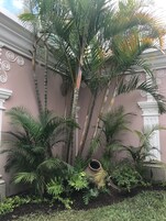 Jardines del alojamiento