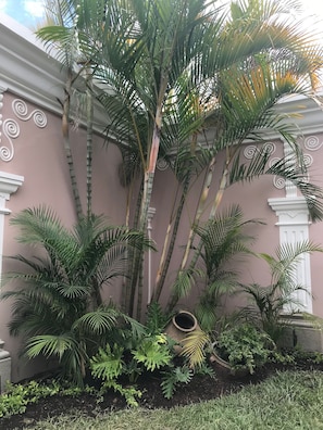 Áreas de la propiedad