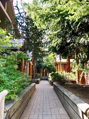 Parco della struttura
