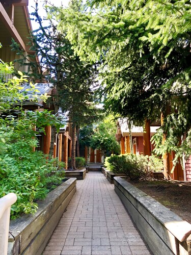 Cozy Mountain Oasis w / hot tub and free parking