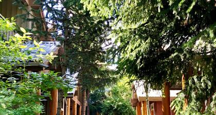 Cozy Mountain Oasis w / hot tub and free parking