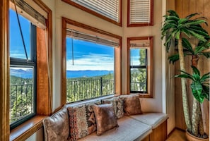Smart TV, fireplace, books, stereo