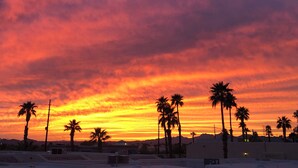 A sunset with palm trees silhouetted against a vibrant sky.