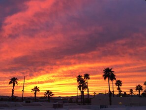 Un coucher de soleil avec des palmiers se découpant en silhouette sur un ciel aux couleurs éclatantes.