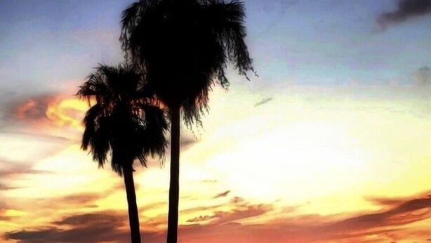 A sunset view with palm trees and mountains in the background.