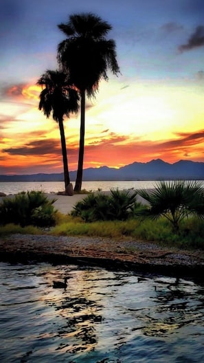 Vista al atardecer con palmeras y montañas al fondo.
