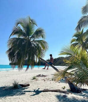 Playa en los alrededores, camas de playa (con cargo) y camastros 