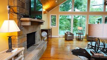 Televisor, llar de foc i videojocs