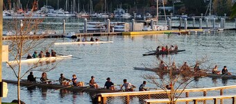 Eagle Harbor View Cottage
