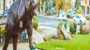 Una estàtua d'ós sobre una roca en una zona enjardinada, amb una carretera i edificis al fons.