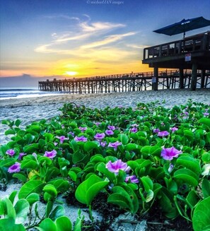 A beach with purple flowers and a pier in the background.