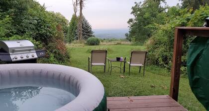 The Blueridge cabin!