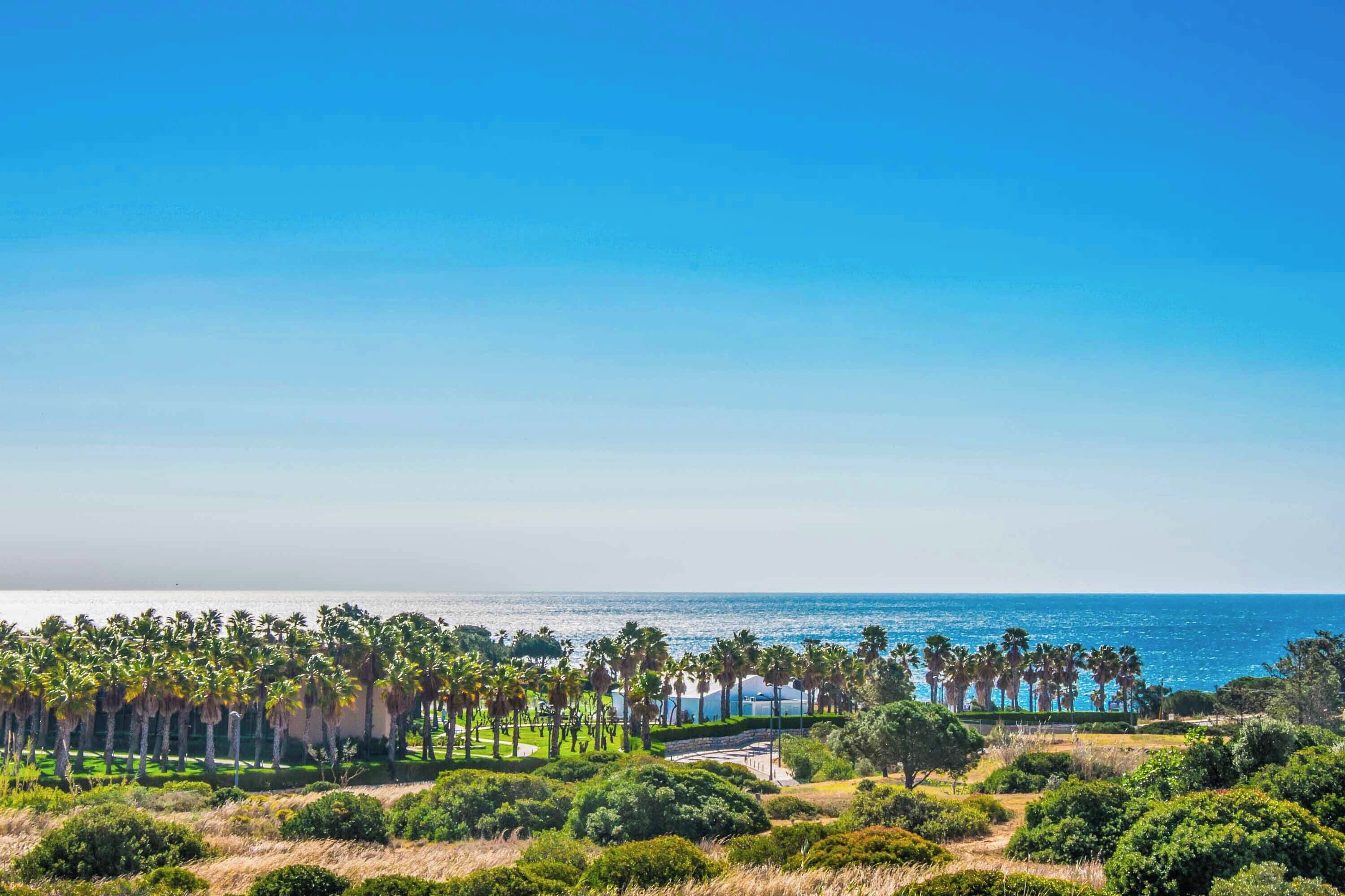 Photo - Villa Damara