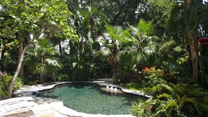 Outdoor pool - Grove Keeper Cottage unit has a tree house atmosphere (Dunedin)