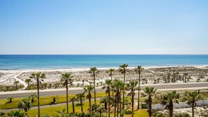 A beach view with palm trees and a road. - P5-0503 Stunning Gulf Front Terrace Sunset Views! (Pensacola Beach)