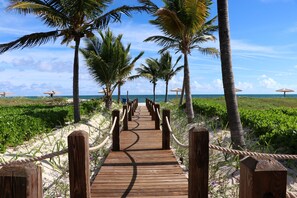 A wooden boardwalk leading to beach umbrellas, surrounded by palm trees and greenery.
