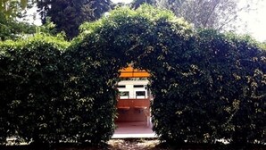 A pathway leading to a building with a traditional architectural style, surrounded by dense greenery. - Camping Amalasunta (Montefiascone)